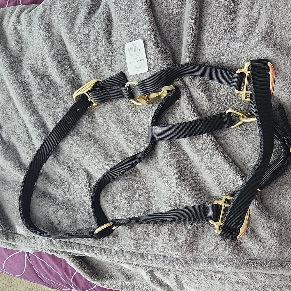 Black horse halter